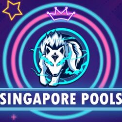 CHUTOGEL - Cara Bermain Singapore Pools Tanpa Terlalu Banyak Resiko