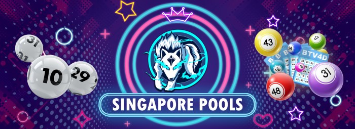 CHUTOGEL - Cara Bermain Singapore Pools Tanpa Terlalu Banyak Resiko